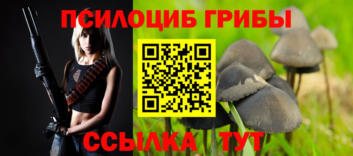 Мыски  Псилоцибиновые грибы Psilocybe  Вход с VPN  Псилоцибиновые грибы MAGIC MUSHROOMS 
